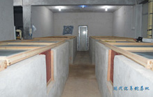 �F(xi��n)�����B(y��ng)�߻���